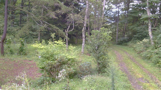 長野県菅平高原 ゆたか山荘 坂上 2026/09/03 06:30