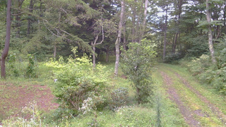 長野県菅平高原 ゆたか山荘 坂上 2026/09/03 06:45