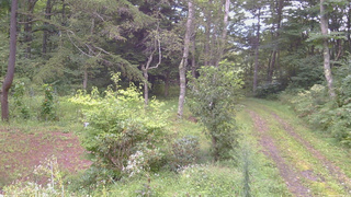 長野県菅平高原 ゆたか山荘 坂上 2026/09/03 07:00