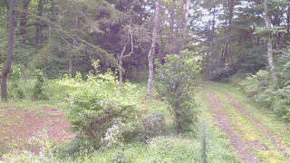 長野県菅平高原 ゆたか山荘 坂上 2026/09/03 07:30