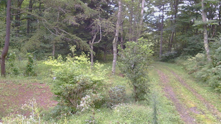 長野県菅平高原 ゆたか山荘 坂上 2026/09/03 07:45