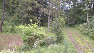 長野県菅平高原 ゆたか山荘 坂上 2026/09/03 08:00
