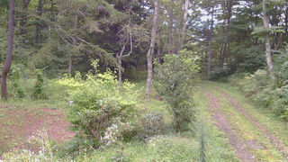 長野県菅平高原 ゆたか山荘 坂上 2026/09/03 08:15