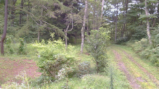 長野県菅平高原 ゆたか山荘 坂上 2026/09/03 08:30