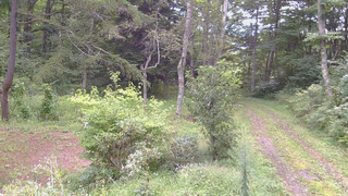 長野県菅平高原 ゆたか山荘 坂上 2026/09/03 08:45