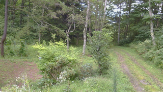 長野県菅平高原 ゆたか山荘 坂上 2026/09/03 09:00