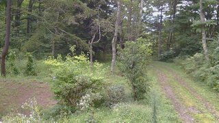 長野県菅平高原 ゆたか山荘 坂上 2026/09/03 09:15