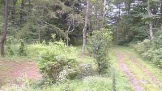 長野県菅平高原 ゆたか山荘 坂上 2026/09/03 09:30