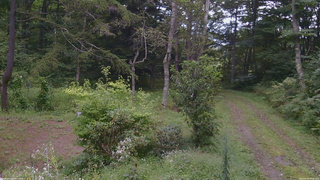 長野県菅平高原 ゆたか山荘 坂上 2026/09/03 09:45
