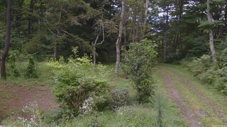 長野県菅平高原 ゆたか山荘 坂上 2026/09/03 10:00