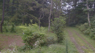 長野県菅平高原 ゆたか山荘 坂上 2026/09/03 10:15
