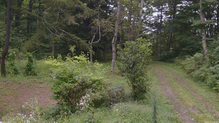 長野県菅平高原 ゆたか山荘 坂上 2026/09/03 10:30
