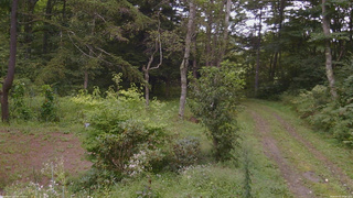 長野県菅平高原 ゆたか山荘 坂上 2026/09/03 10:45