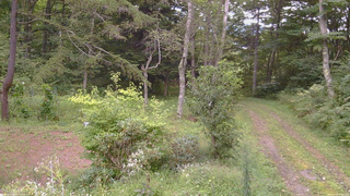 長野県菅平高原 ゆたか山荘 坂上 2026/09/03 11:00