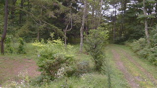 長野県菅平高原 ゆたか山荘 坂上 2026/09/03 11:15