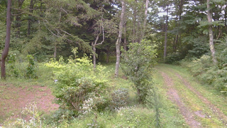 長野県菅平高原 ゆたか山荘 坂上 2026/09/03 11:30