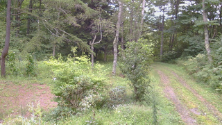 長野県菅平高原 ゆたか山荘 坂上 2026/09/03 11:45
