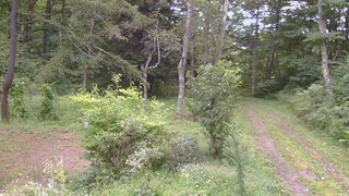 長野県菅平高原 ゆたか山荘 坂上 2026/09/03 12:00