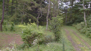 長野県菅平高原 ゆたか山荘 坂上 2026/09/03 12:15