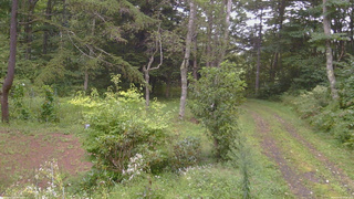 長野県菅平高原 ゆたか山荘 坂上 2026/09/03 12:30
