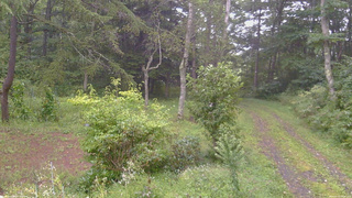 長野県菅平高原 ゆたか山荘 坂上 2026/09/03 12:45