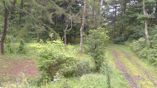 長野県菅平高原 ゆたか山荘 坂上 2026/09/03 13:15