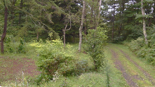 長野県菅平高原 ゆたか山荘 坂上 2026/09/03 13:45