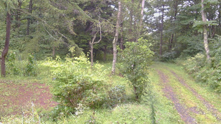長野県菅平高原 ゆたか山荘 坂上 2026/09/03 14:00