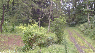 長野県菅平高原 ゆたか山荘 坂上 2026/09/03 14:15