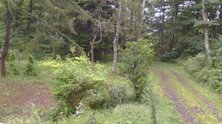 長野県菅平高原 ゆたか山荘 坂上 2026/09/03 14:30