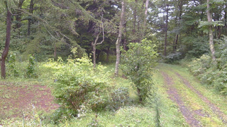 長野県菅平高原 ゆたか山荘 坂上 2026/09/03 14:45