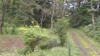 長野県菅平高原 ゆたか山荘 坂上 2026/09/03 15:00