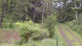 長野県菅平高原 ゆたか山荘 坂上 2026/09/03 15:15