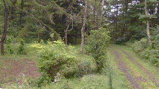長野県菅平高原 ゆたか山荘 坂上 2026/09/03 15:30
