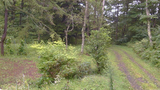 長野県菅平高原 ゆたか山荘 坂上 2026/09/03 16:00