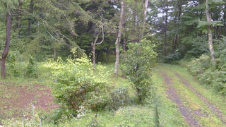 長野県菅平高原 ゆたか山荘 坂上 2026/09/03 16:30