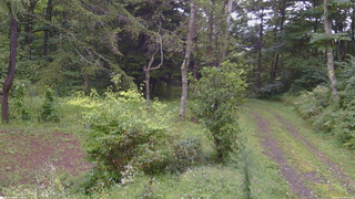長野県菅平高原 ゆたか山荘 坂上 2026/09/03 16:45