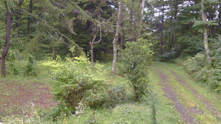 長野県菅平高原 ゆたか山荘 坂上 2026/09/03 17:15