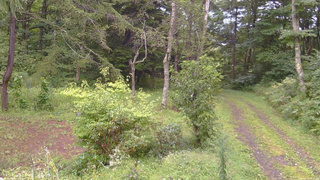 長野県菅平高原 ゆたか山荘 坂上 2026/09/03 17:30