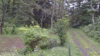 長野県菅平高原 ゆたか山荘 坂上 2026/09/03 17:45