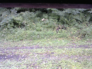 長野県菅平高原 ゆたか山荘 東側(坂下) 2026/09/04 10:30