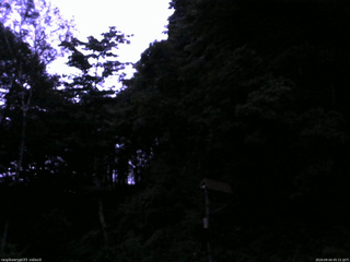 長野県菅平高原 ゆたか山荘 温度計 2026/09/04 05:15
