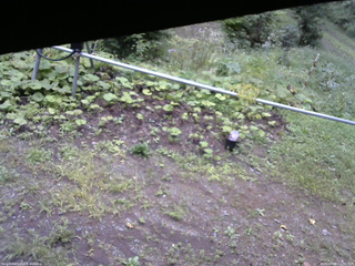 長野県菅平高原 ゆたか山荘 駐車場 2026/09/04 11:00