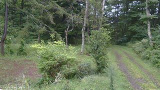 長野県菅平高原 ゆたか山荘 坂上 2026/09/04 05:30