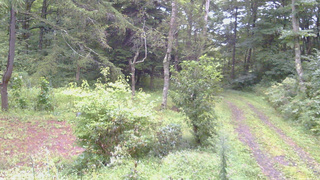 長野県菅平高原 ゆたか山荘 坂上 2026/09/04 05:45