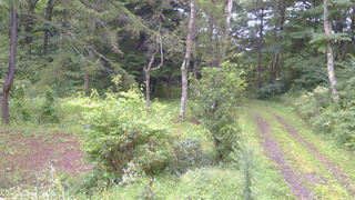 長野県菅平高原 ゆたか山荘 坂上 2026/09/04 06:00