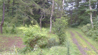 長野県菅平高原 ゆたか山荘 坂上 2026/09/04 06:15