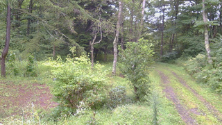 長野県菅平高原 ゆたか山荘 坂上 2026/09/04 06:30