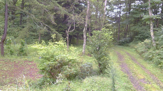 長野県菅平高原 ゆたか山荘 坂上 2026/09/04 06:45
