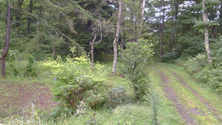 長野県菅平高原 ゆたか山荘 坂上 2026/09/04 07:00
